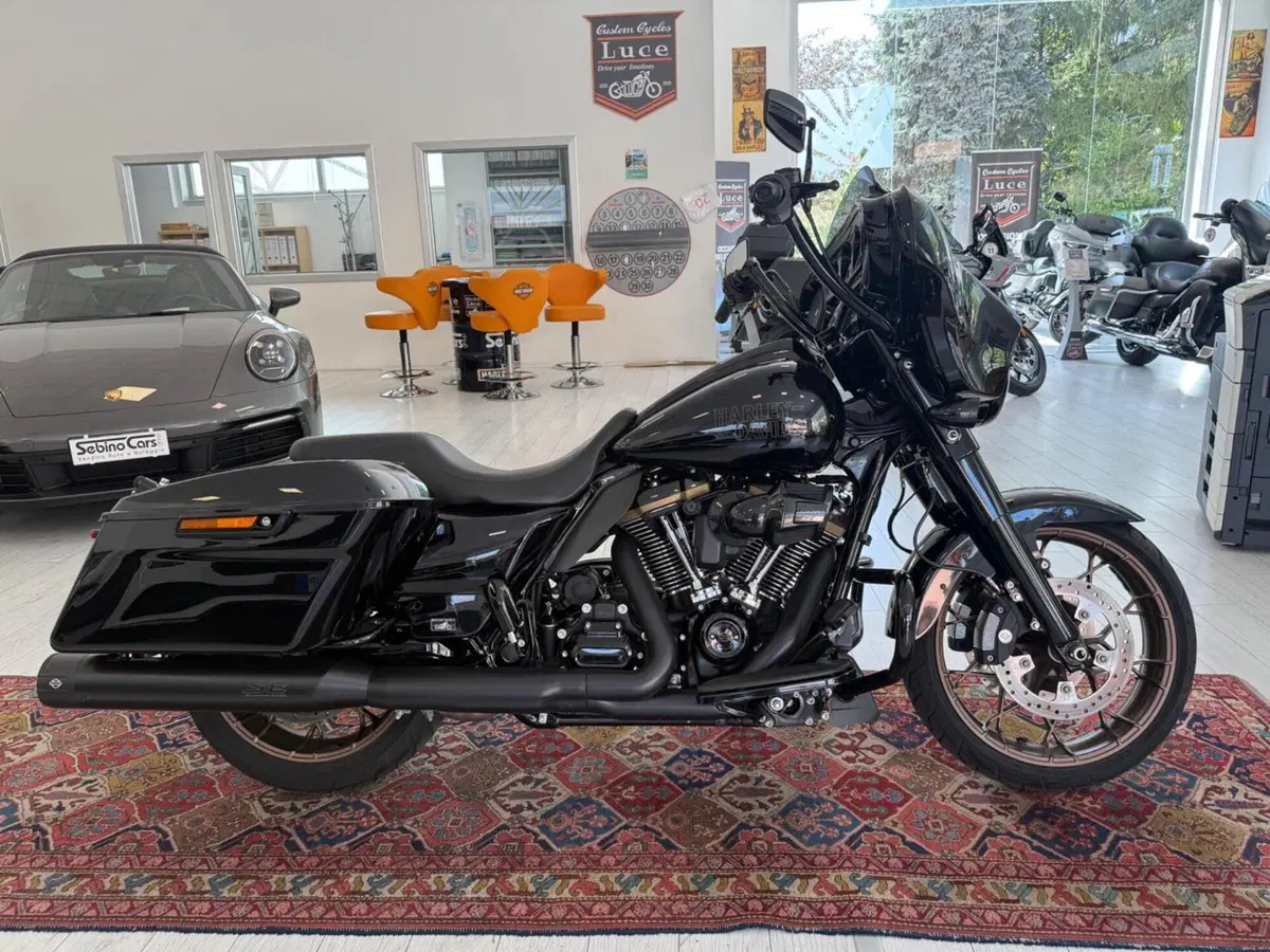 Harley-Davidson Street Glide ST (2022 - 23) (2)