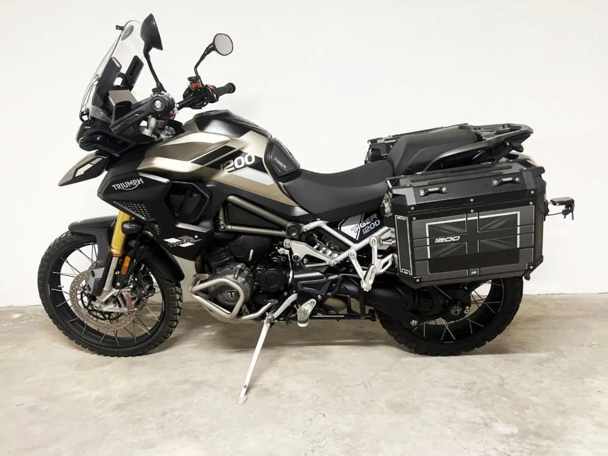 Triumph Tiger 1200 Rally Pro (2024 - 26) (4)
