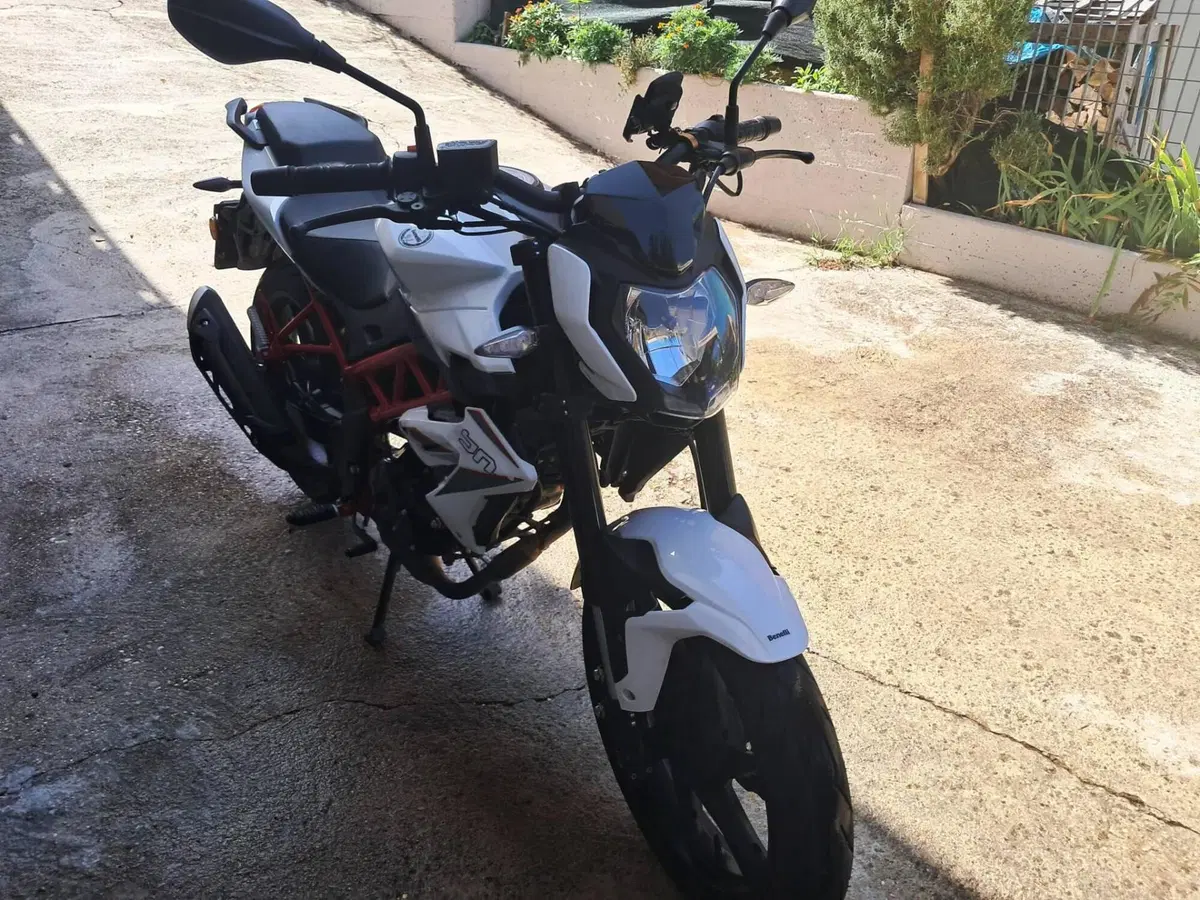 Benelli BN 125 (2021 - 25) (4)