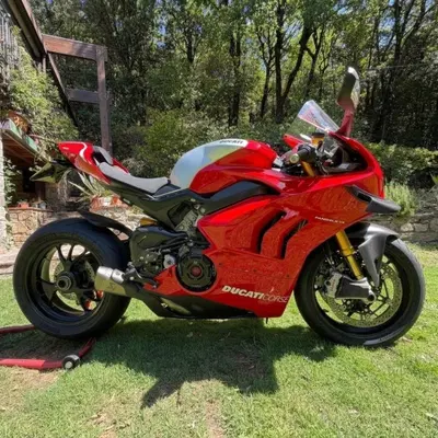 Ducati Panigale V4 R 1000 (2019 - 20) usata