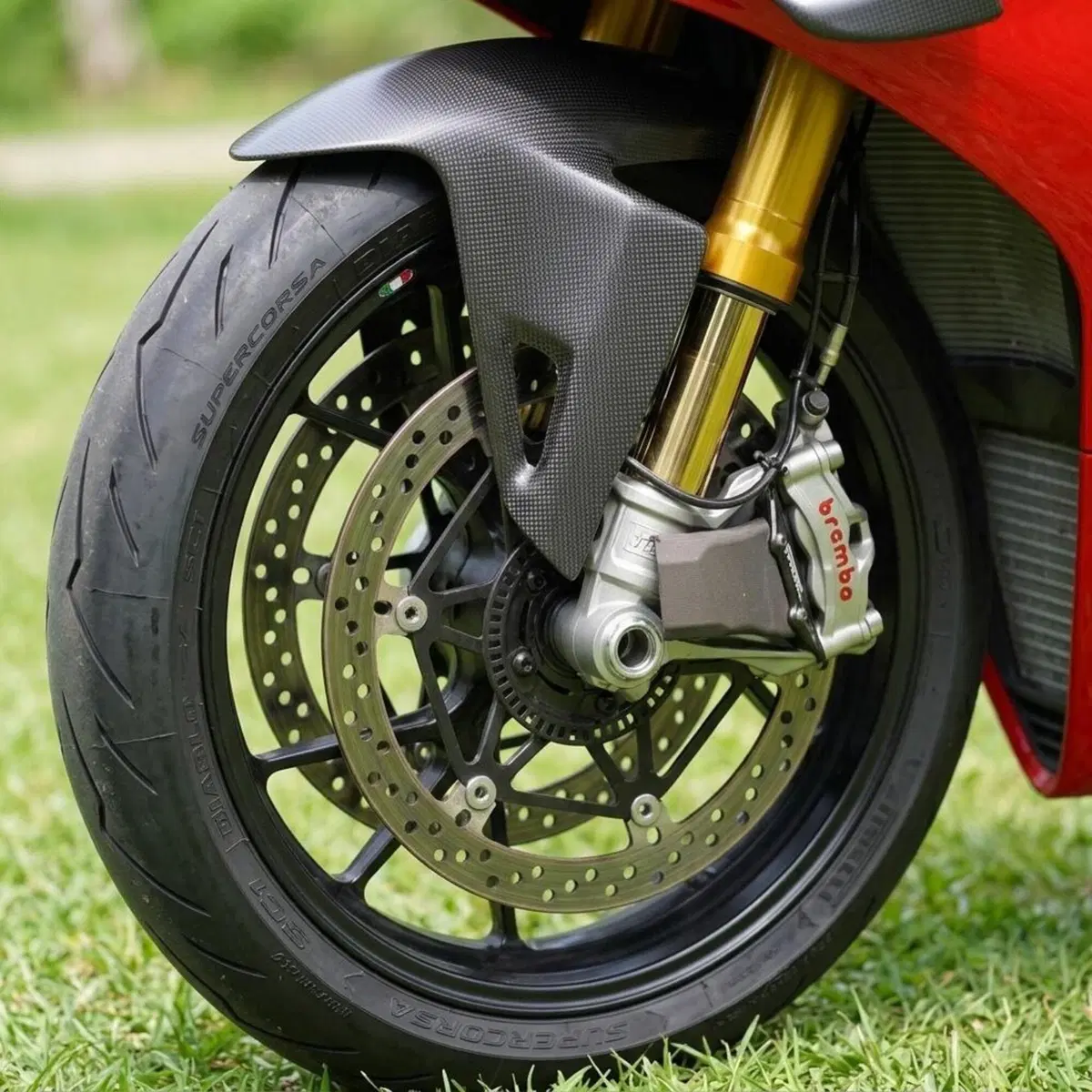 Ducati Panigale V4 R 1000 (2019 - 20) (3)