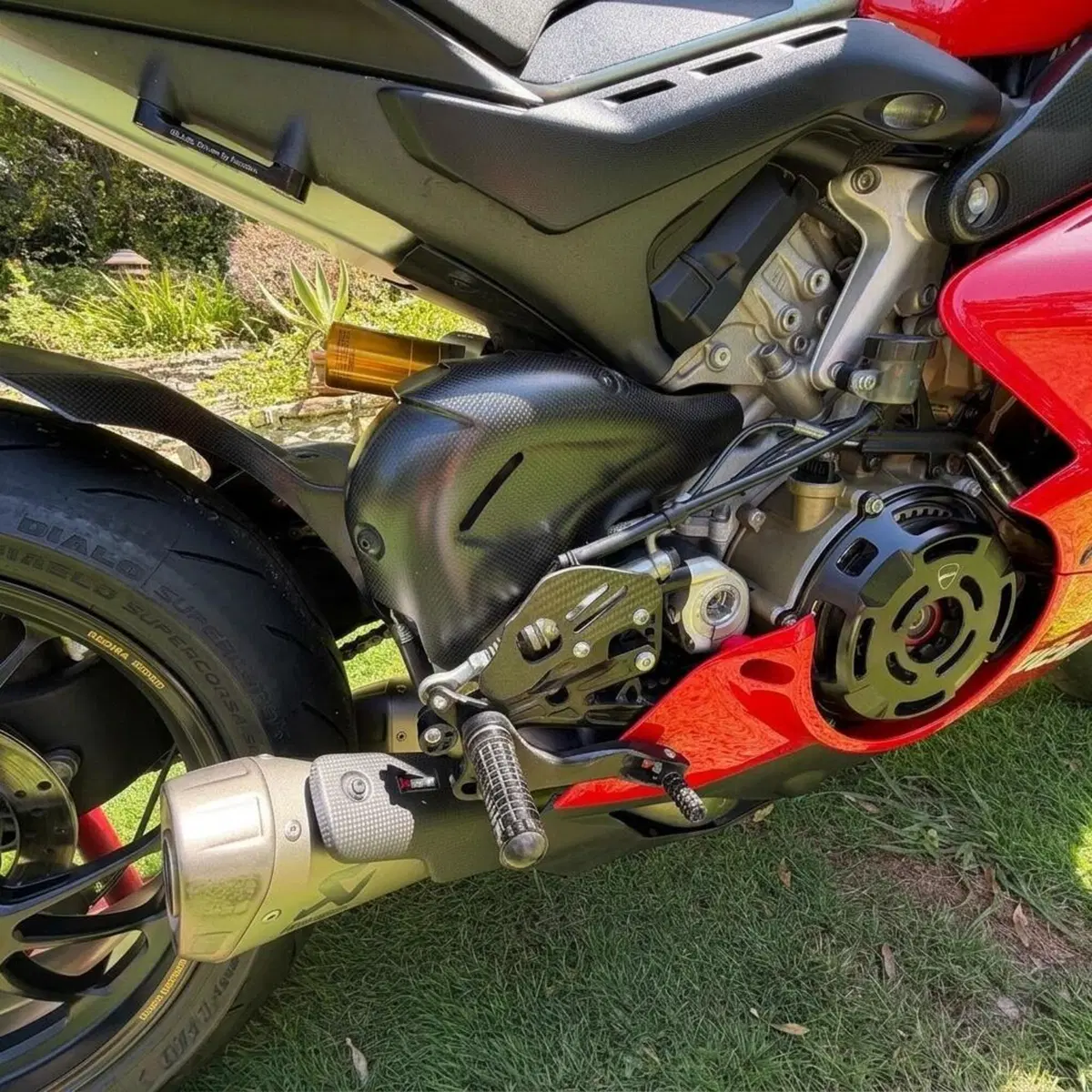 Ducati Panigale V4 R 1000 (2019 - 20) (4)