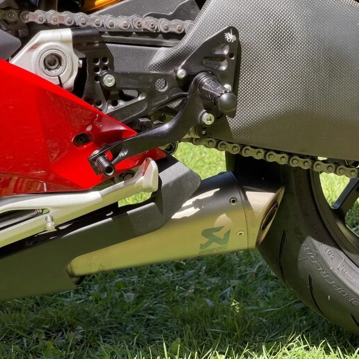 Ducati Panigale V4 R 1000 (2019 - 20) (7)