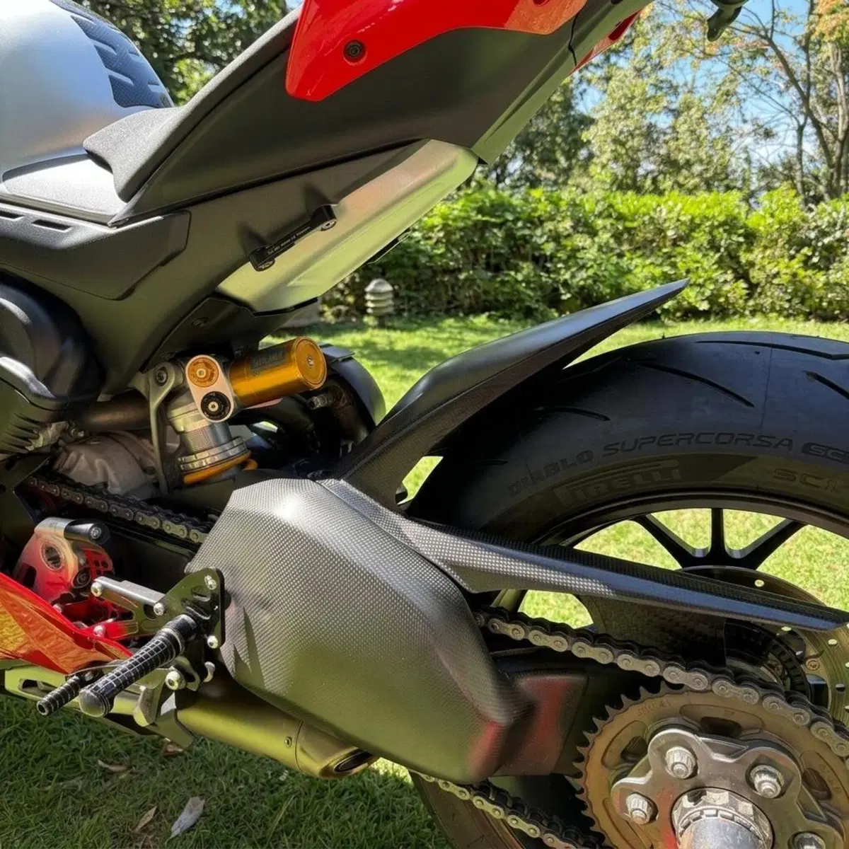 Ducati Panigale V4 R 1000 (2019 - 20) (8)