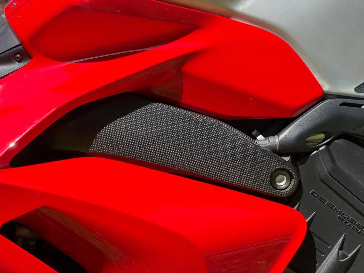 Ducati Panigale V4 R 1000 (2019 - 20) (9)