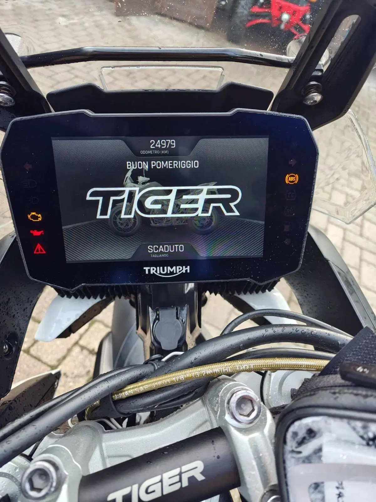 Triumph Tiger 900 GT (2020 - 23) (6)