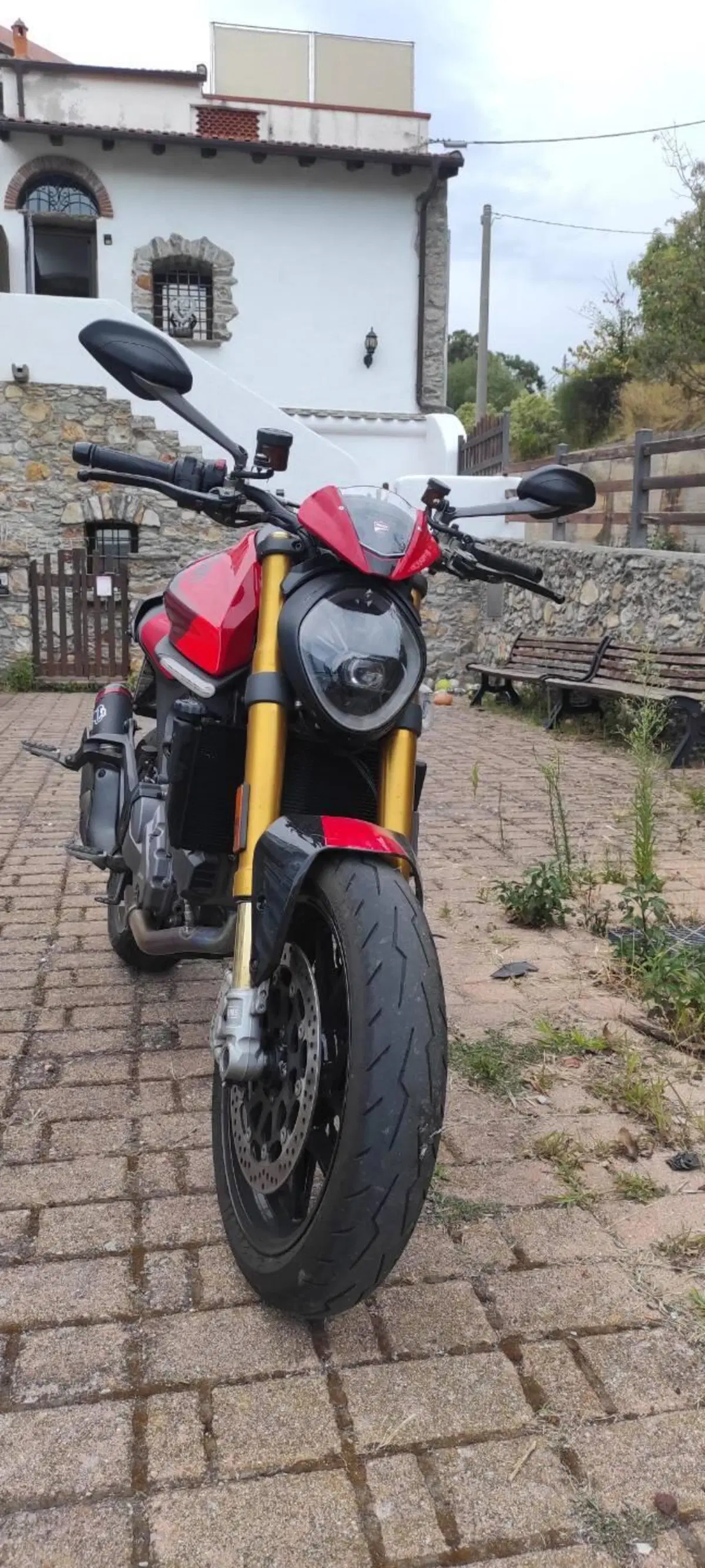 Ducati Monster 937 SP (2023 - 25) (3)