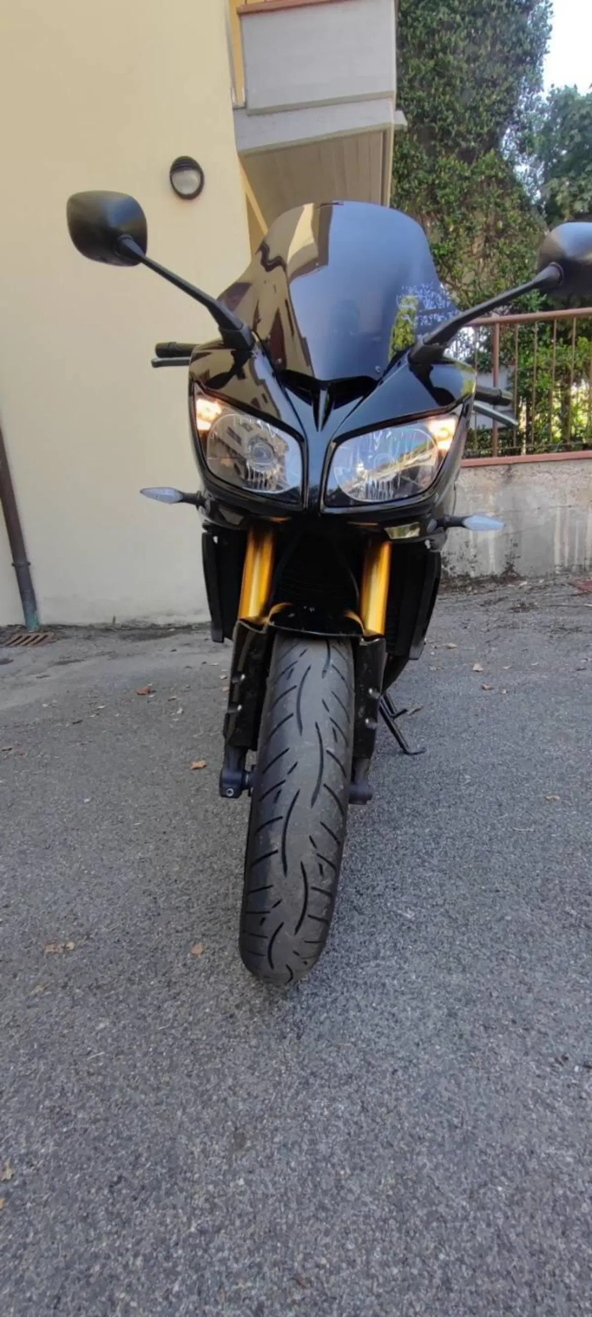 Yamaha FZ1 Fazer (2006 - 16) (3)