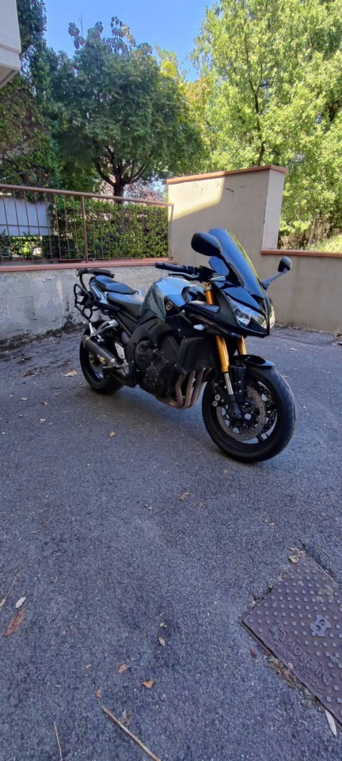 Yamaha FZ1 Fazer (2006 - 16) (2)