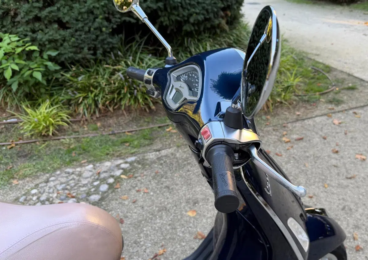 Vespa Primavera 150 3V ie (2014 - 16) (14)