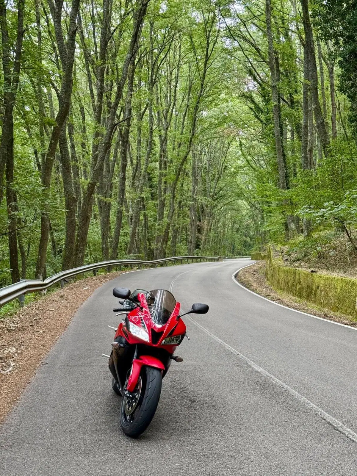 Honda CBR 600 RR (2009 - 12) (4)