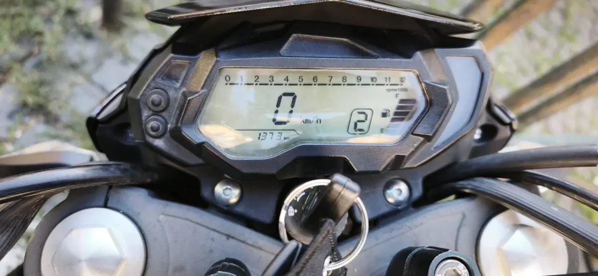 Benelli BN 125 (2021 - 25) (2)