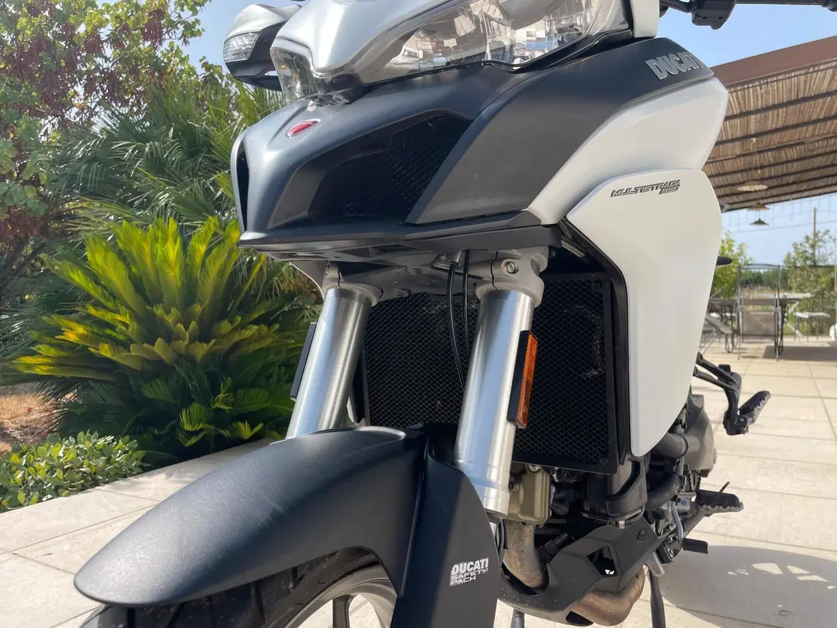 Ducati Multistrada 950 (2019 - 20) (7)