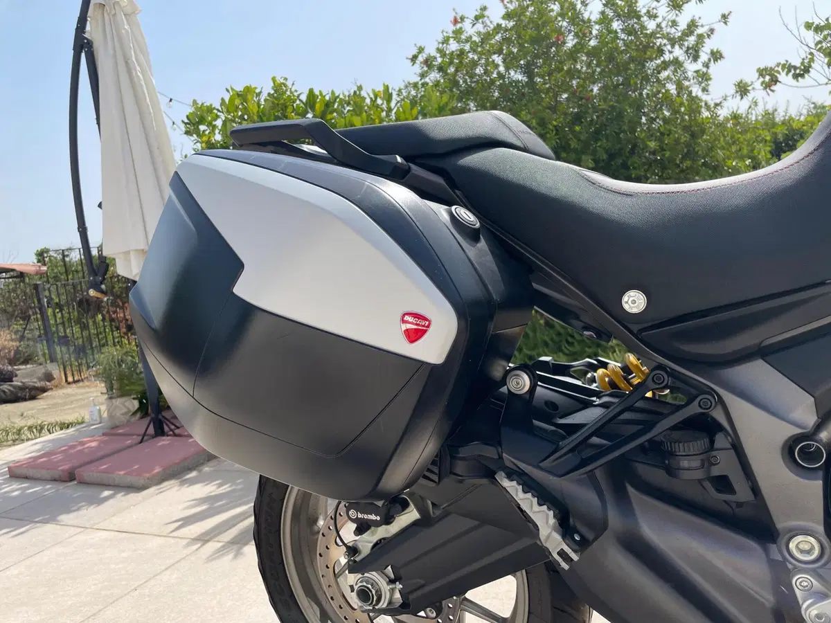 Ducati Multistrada 950 (2019 - 20) (8)