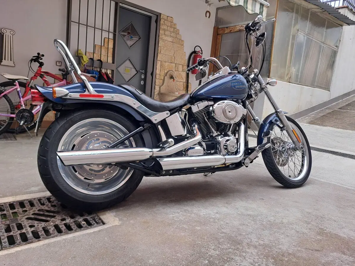 Harley-Davidson 1584 Custom (2008 - 09) - FXSTC (2)