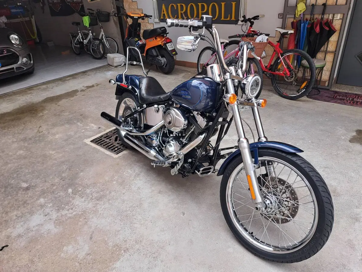 Harley-Davidson 1584 Custom (2008 - 09) - FXSTC (3)