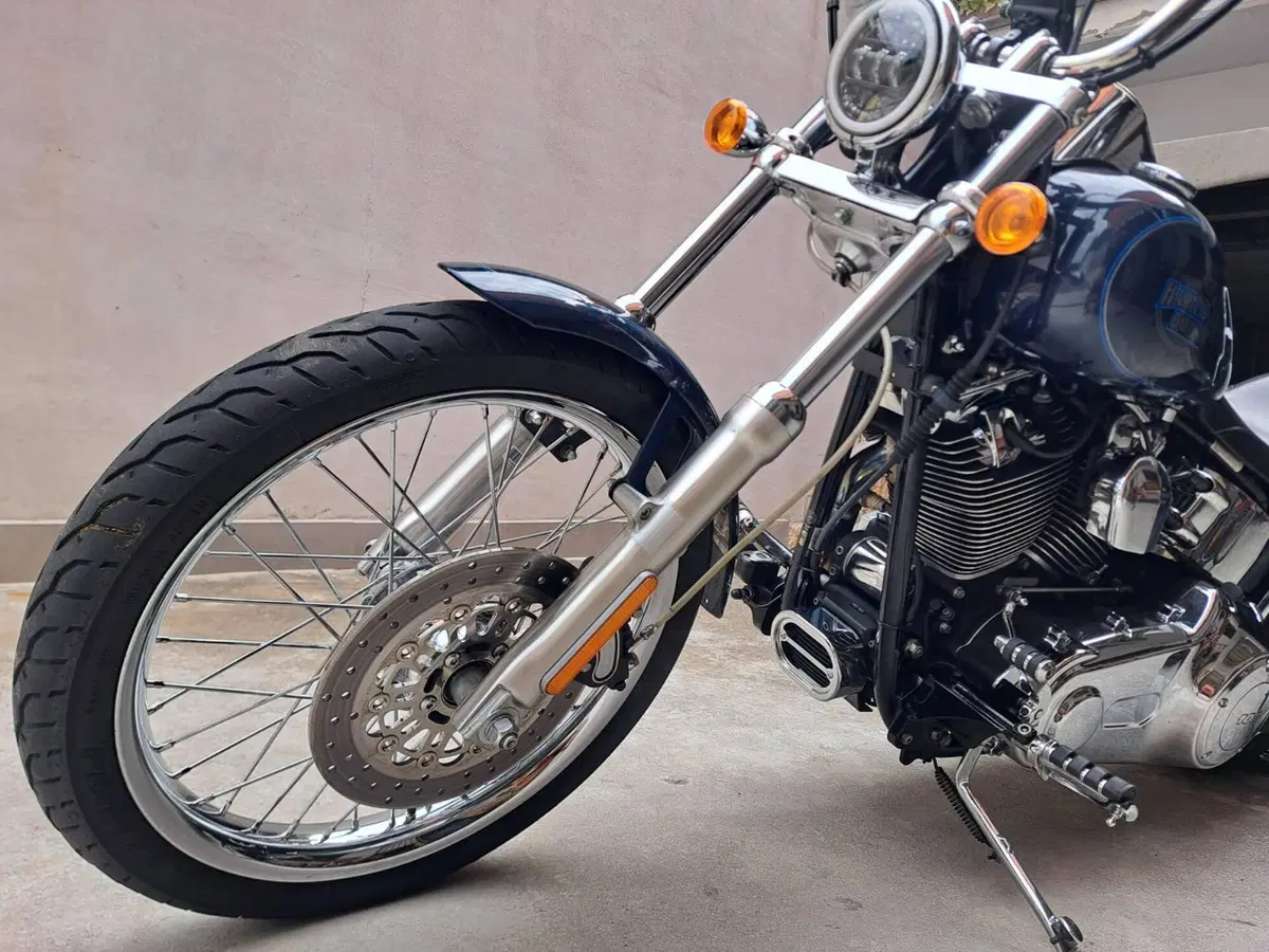 Harley-Davidson 1584 Custom (2008 - 09) - FXSTC (4)