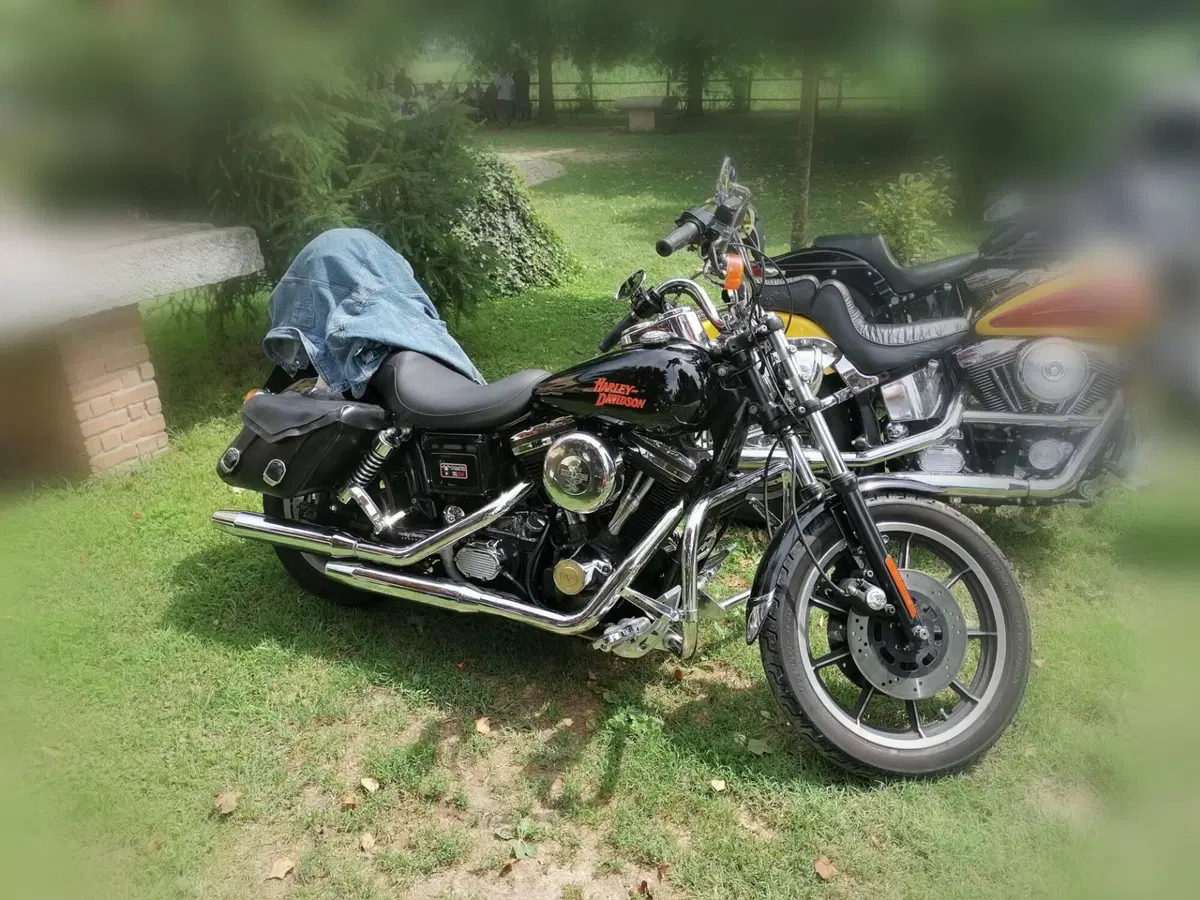 Harley-Davidson 1340 Low Rider (1994 - 99) (11)