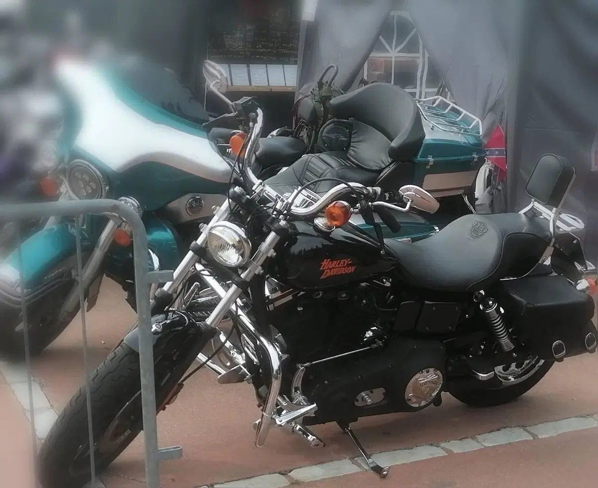 Harley-Davidson 1340 Low Rider (1994 - 99) (13)