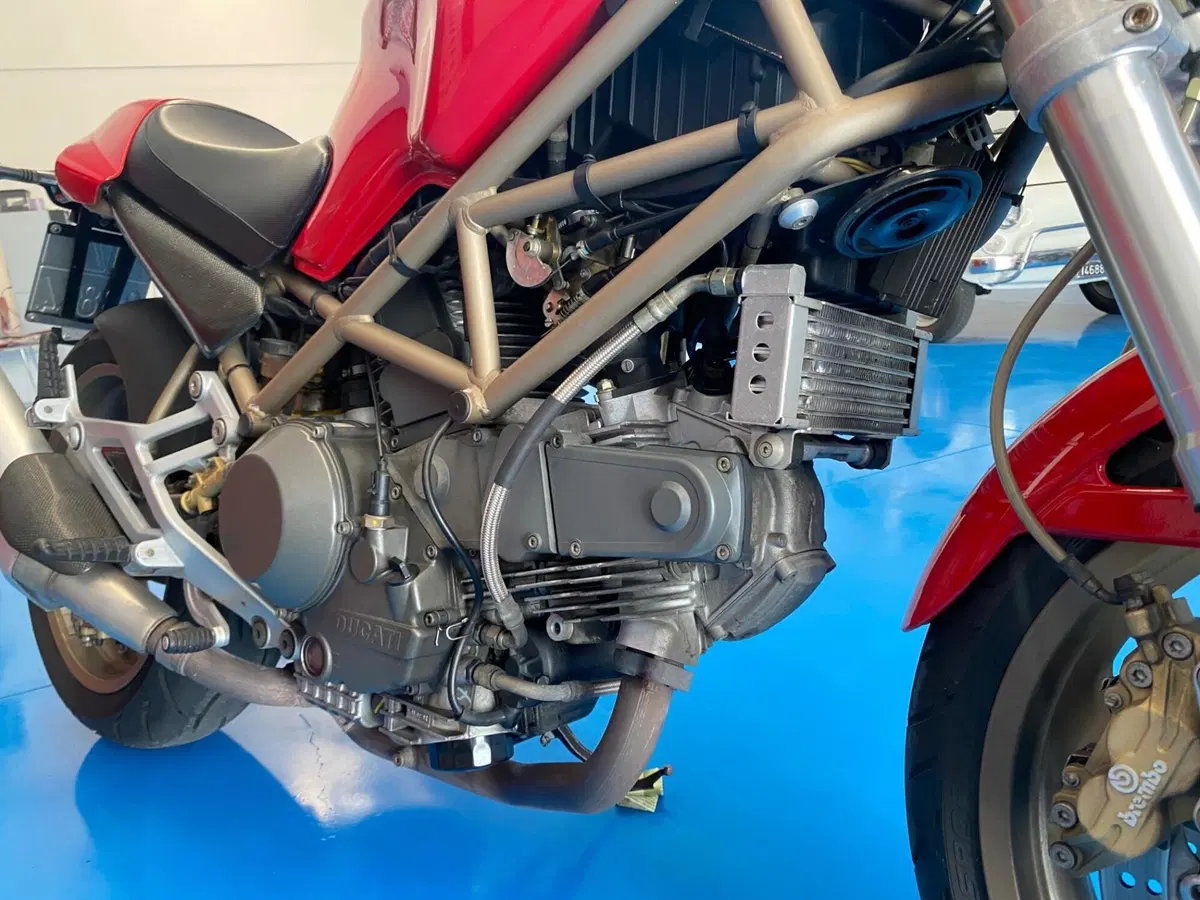 Ducati Monster 900 I.E. (1999 - 02) (10)