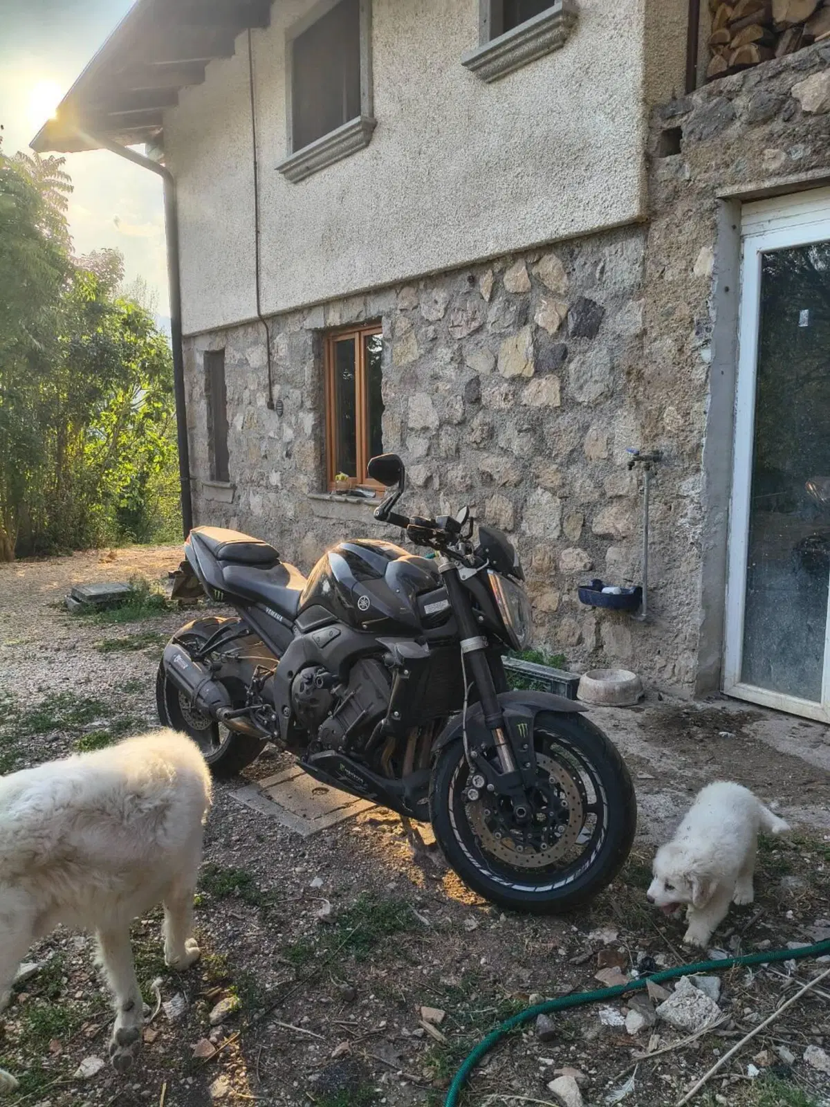 Yamaha FZ1 (2006 - 16) (4)