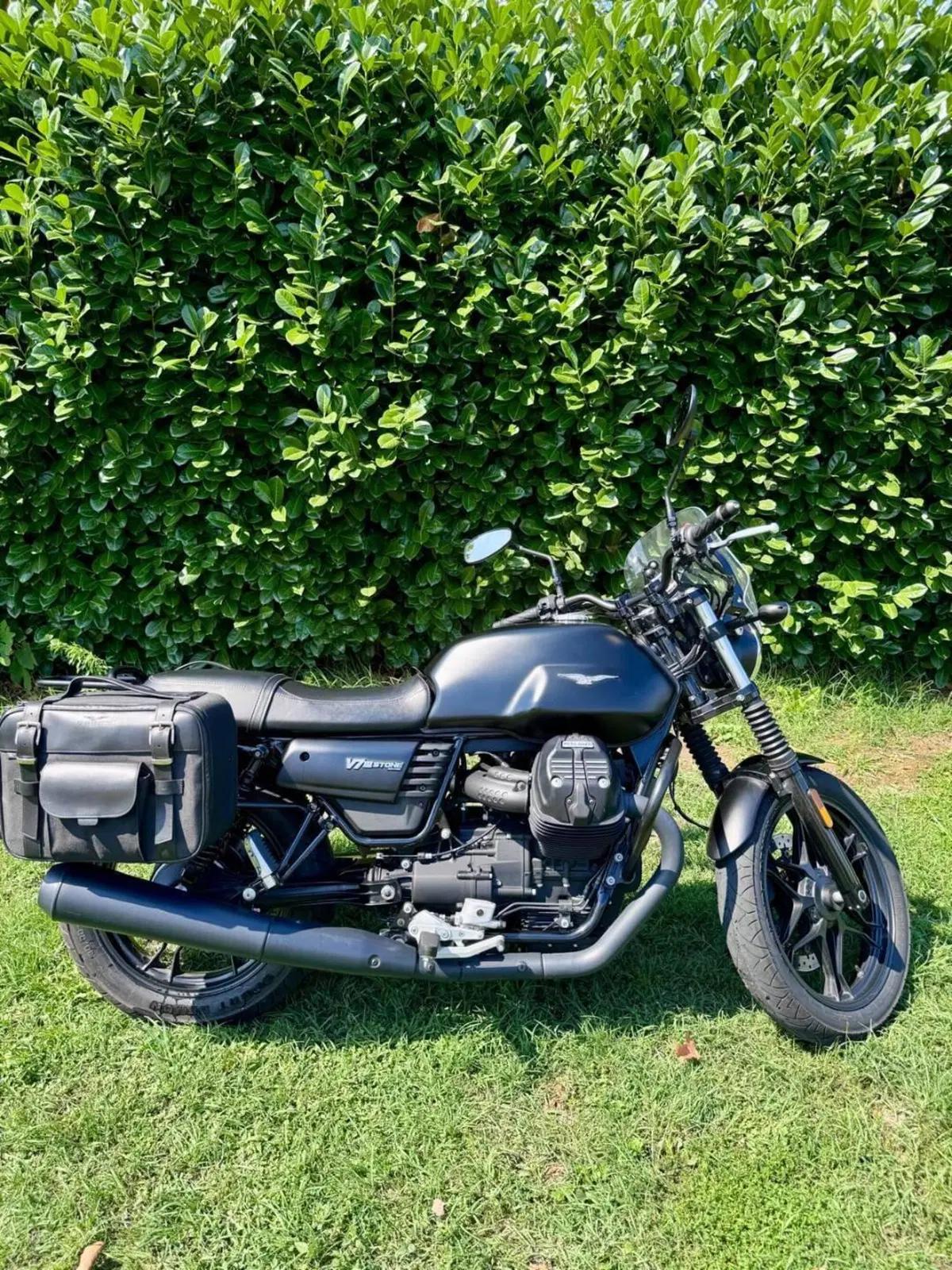 Moto Guzzi V7 III Stone (2017 - 20) (2)