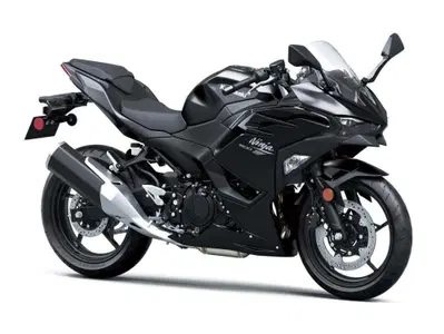 Kawasaki Ninja 500 (2024 - 26) nuova