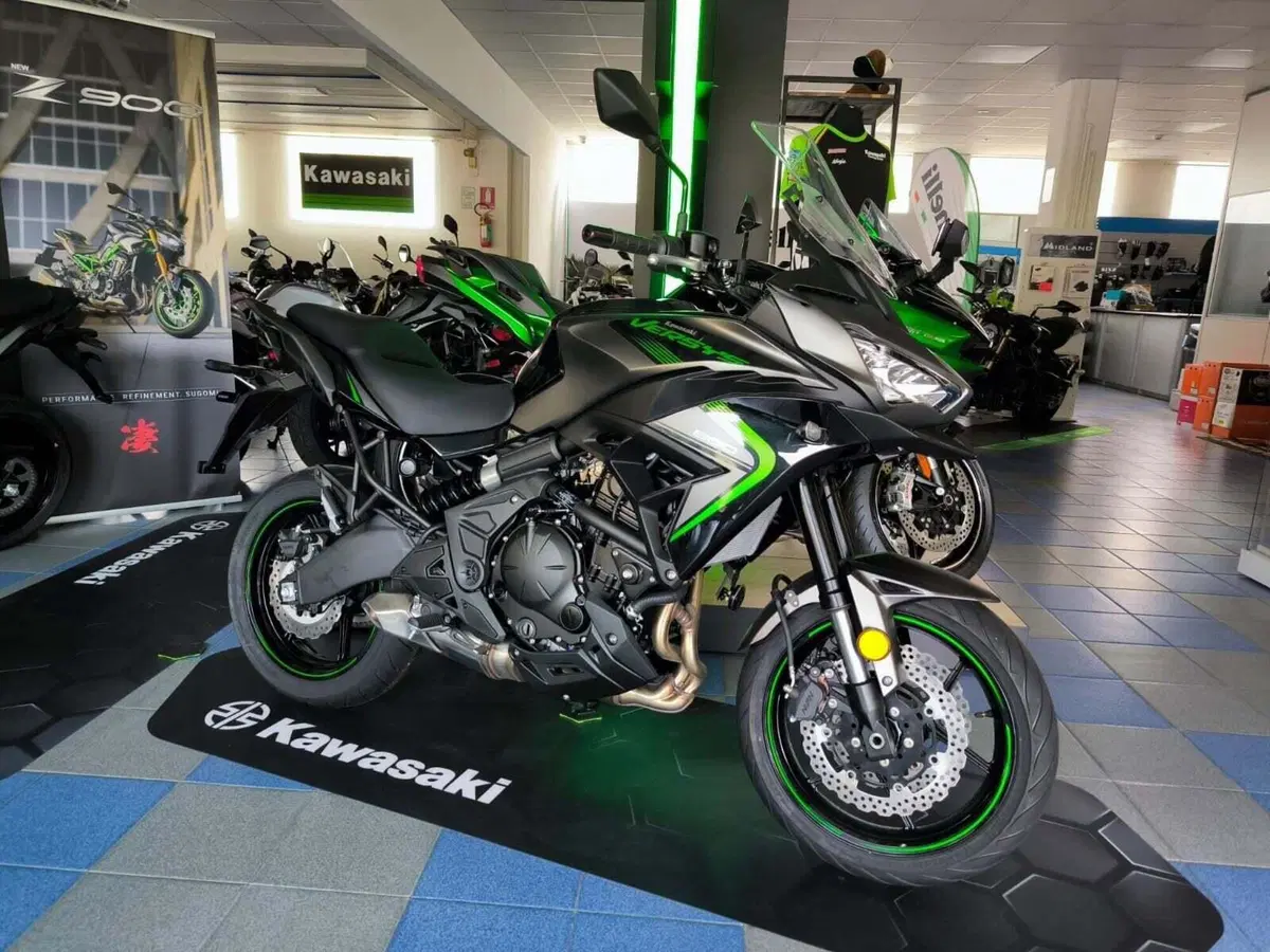 Kawasaki Versys 650 (2025 - 26)