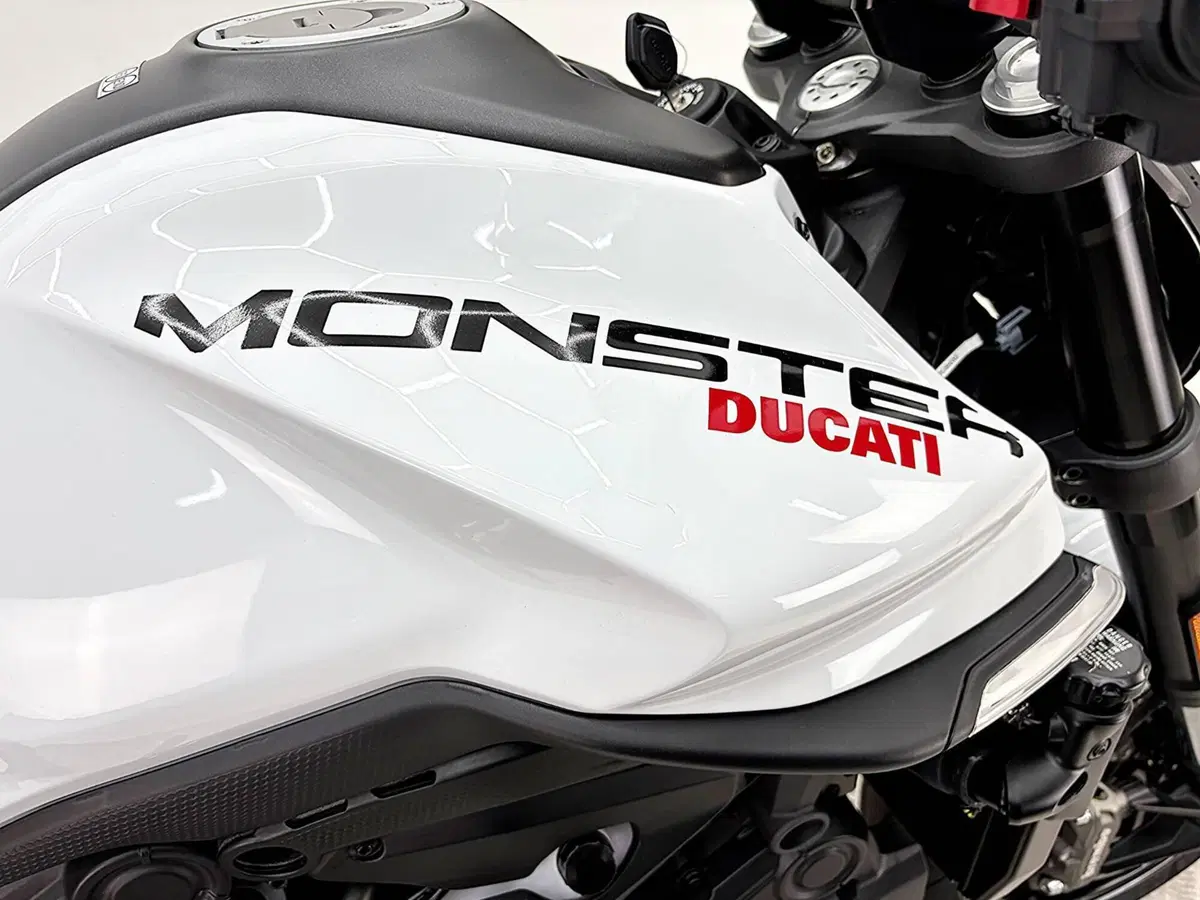 Ducati Monster 937 + (2021 - 25) (17)