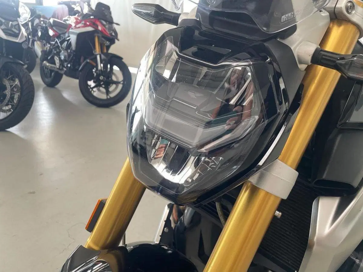 Bmw R 1250 R (2021 - 25) (13)