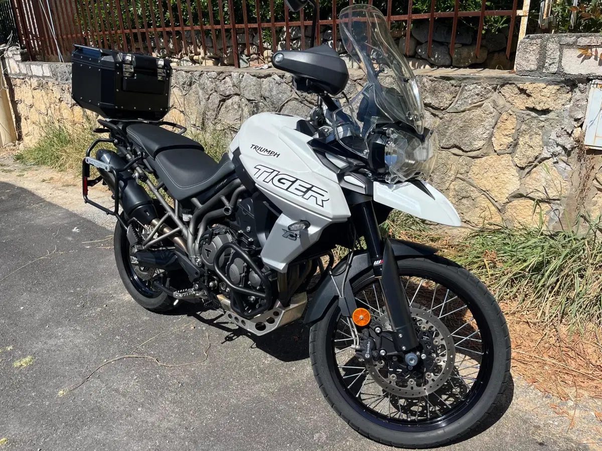 Triumph Tiger 800 XCx (2018 - 20) (9)