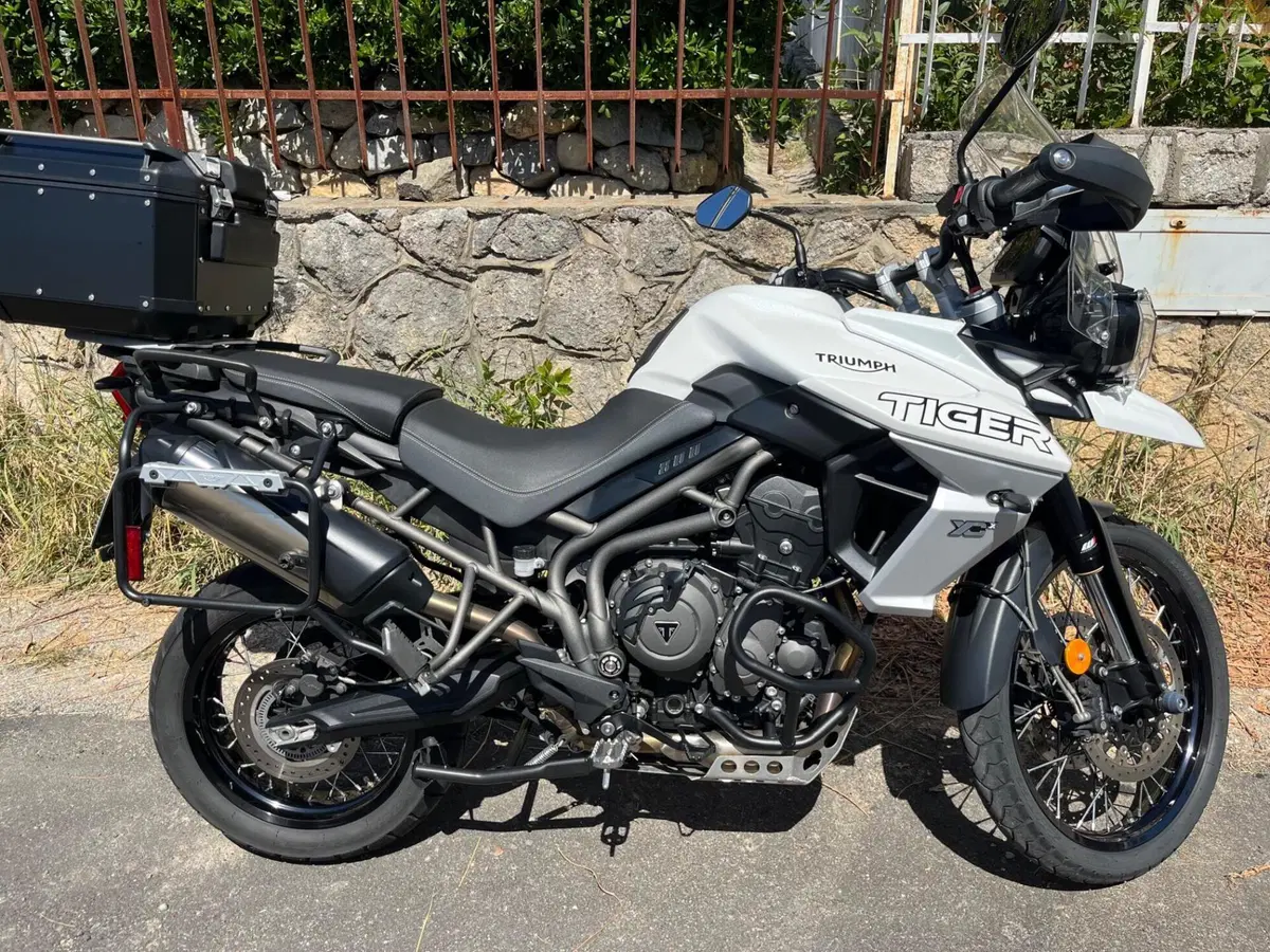 Triumph Tiger 800 XCx (2018 - 20) (10)