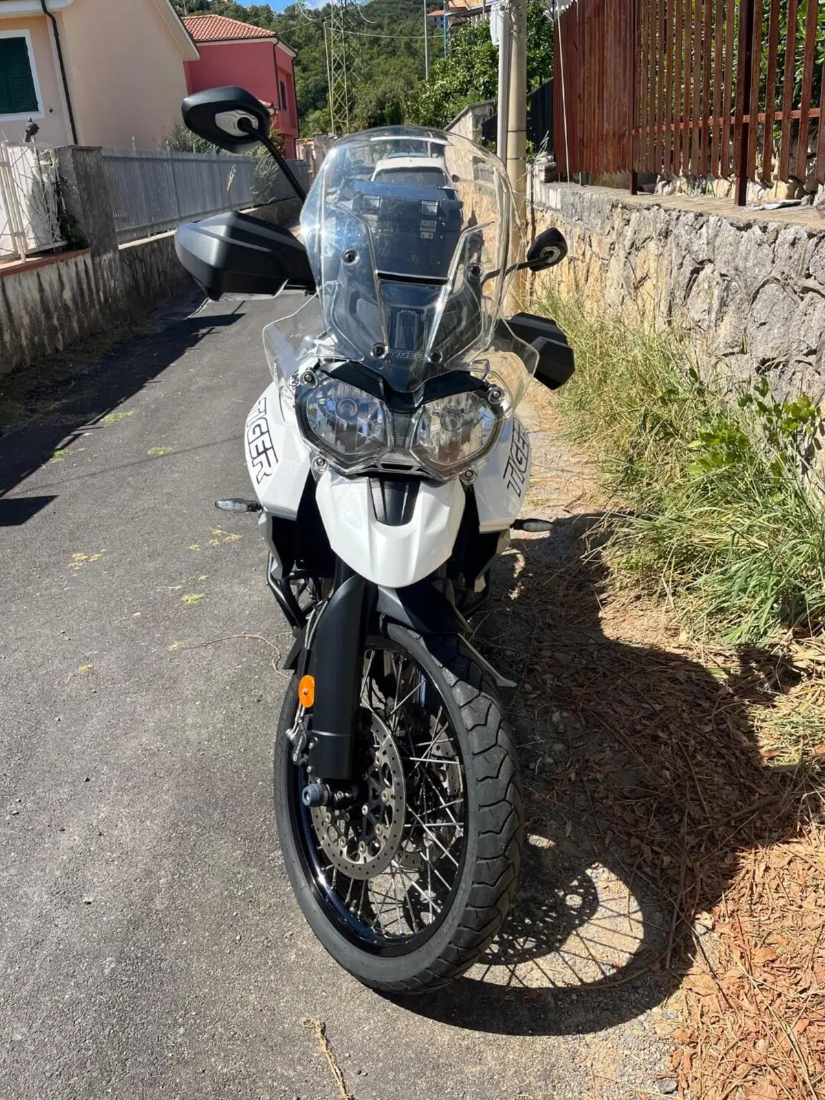 Triumph Tiger 800 XCx (2018 - 20) (14)