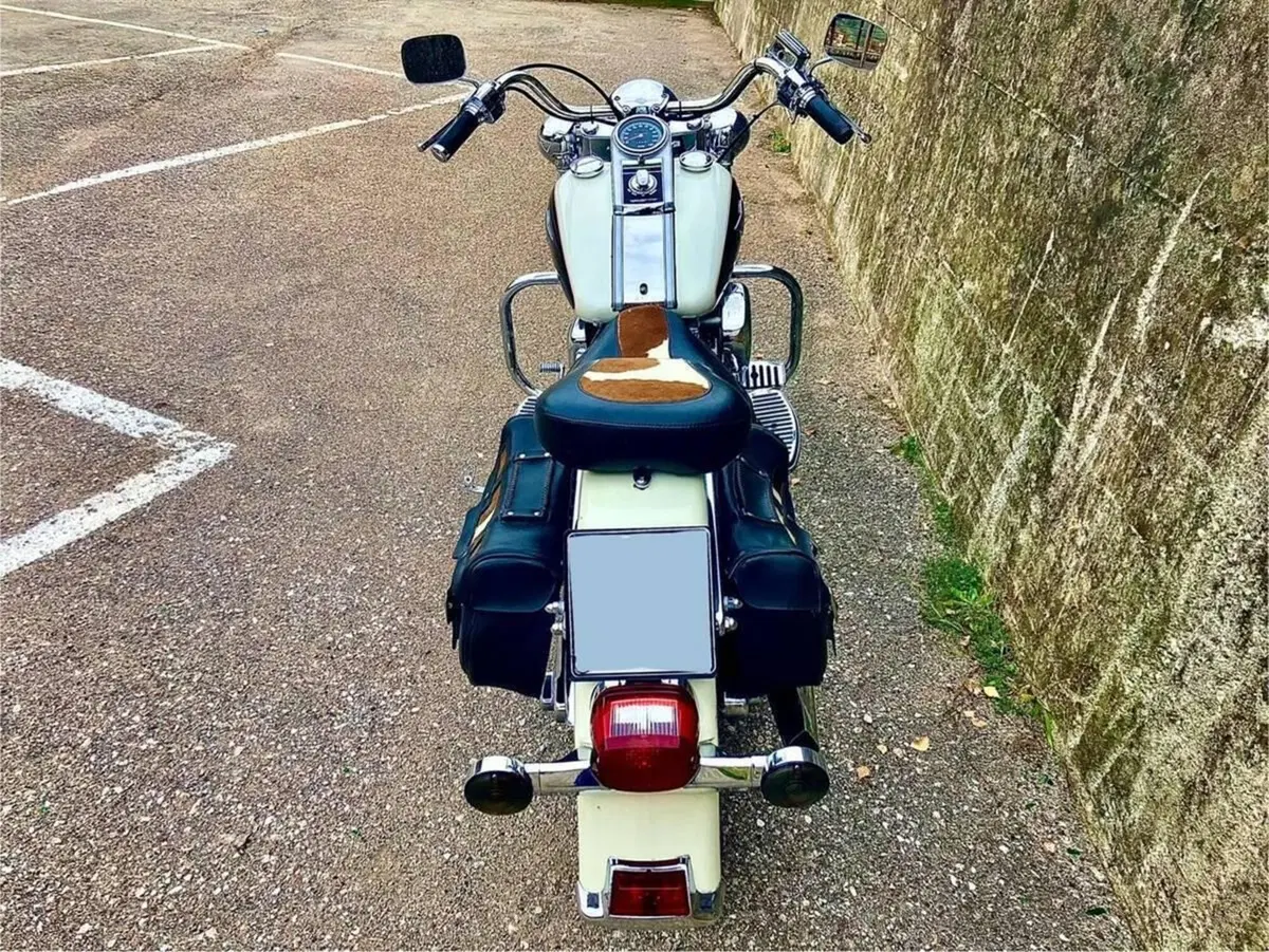 Harley-Davidson 1340 Heritage Special (1993 - 96) (7)