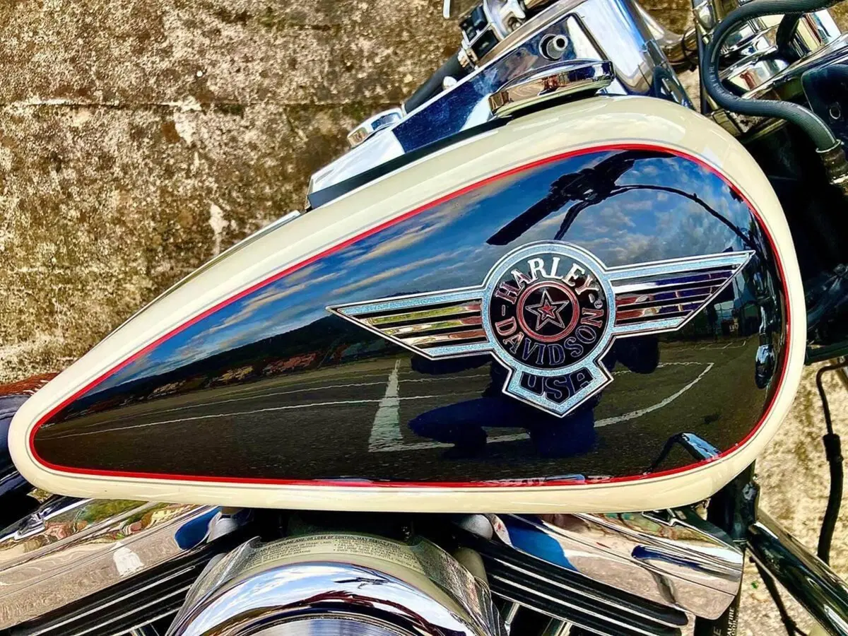 Harley-Davidson 1340 Heritage Special (1993 - 96) (15)