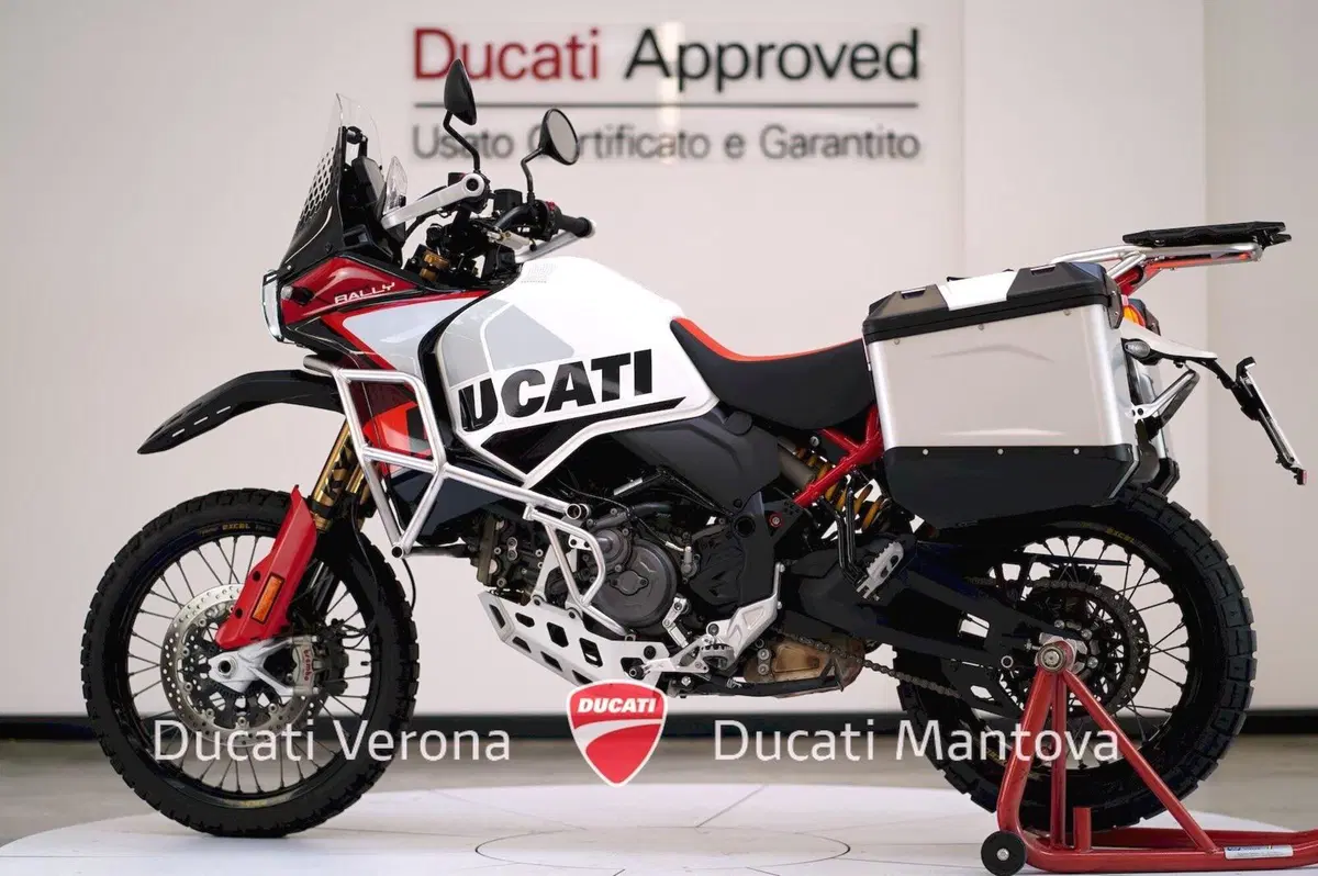 Ducati DesertX Rally (2024 - 25) (5)