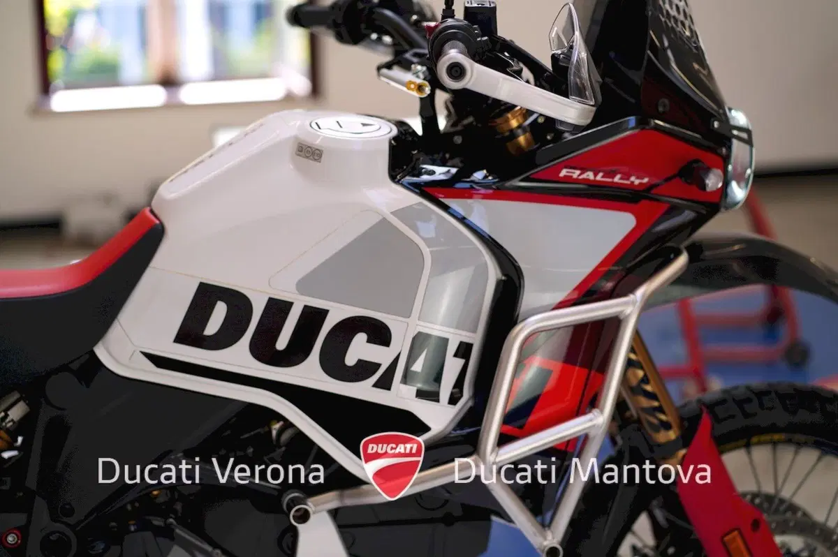 Ducati DesertX Rally (2024 - 25) (11)