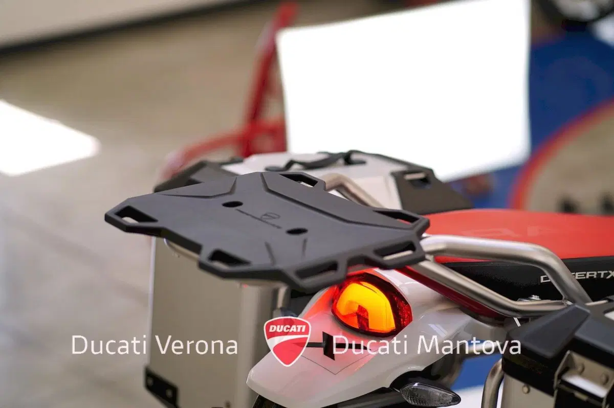 Ducati DesertX Rally (2024 - 25) (13)