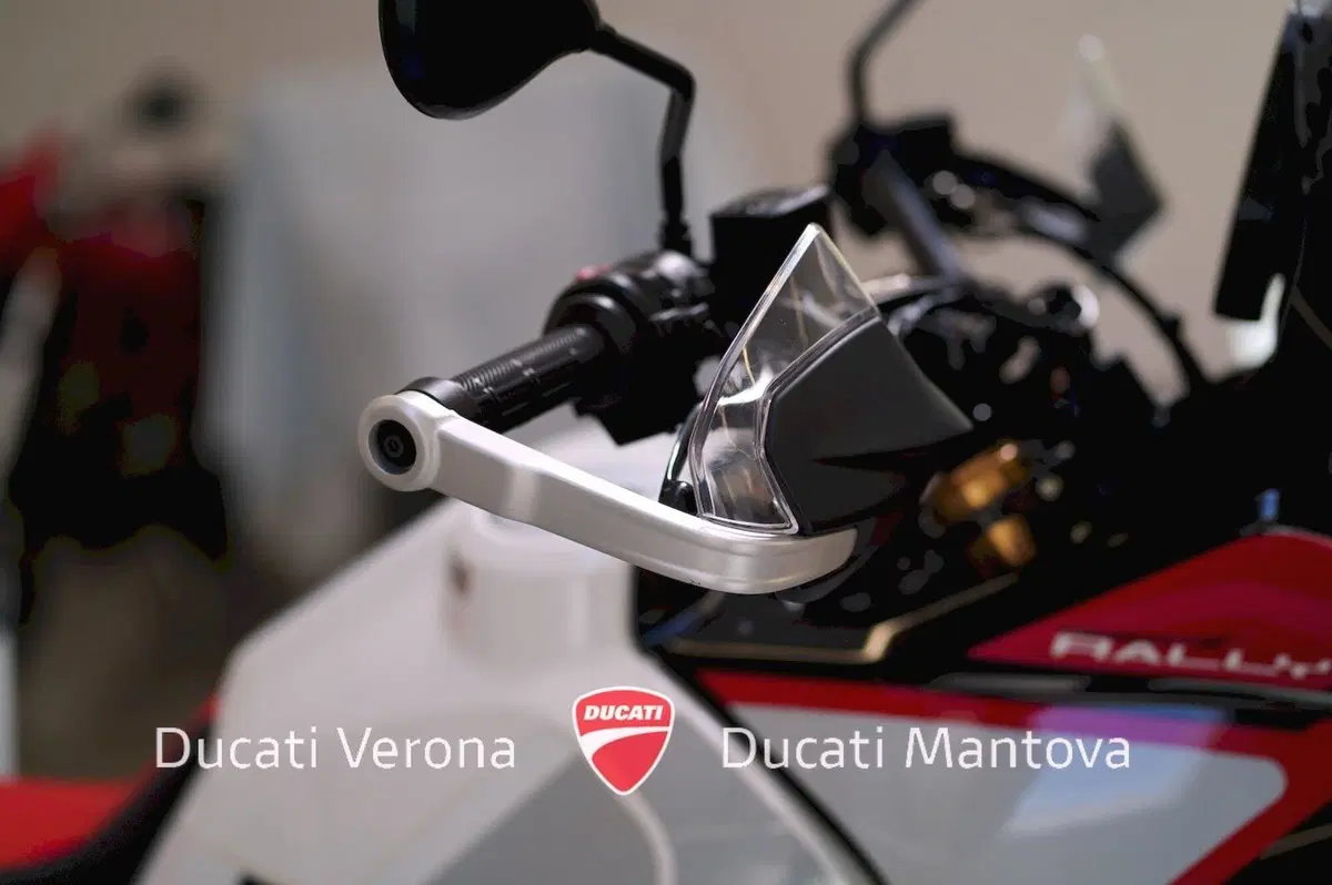Ducati DesertX Rally (2024 - 25) (14)