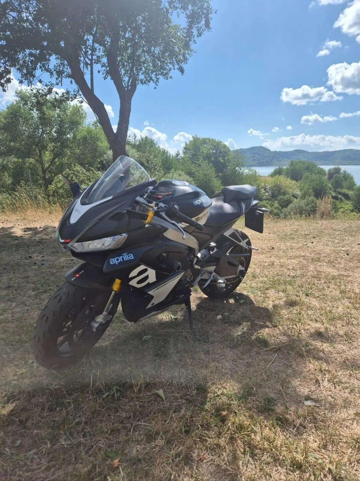 Aprilia RS 660 (2020 - 24) (2)