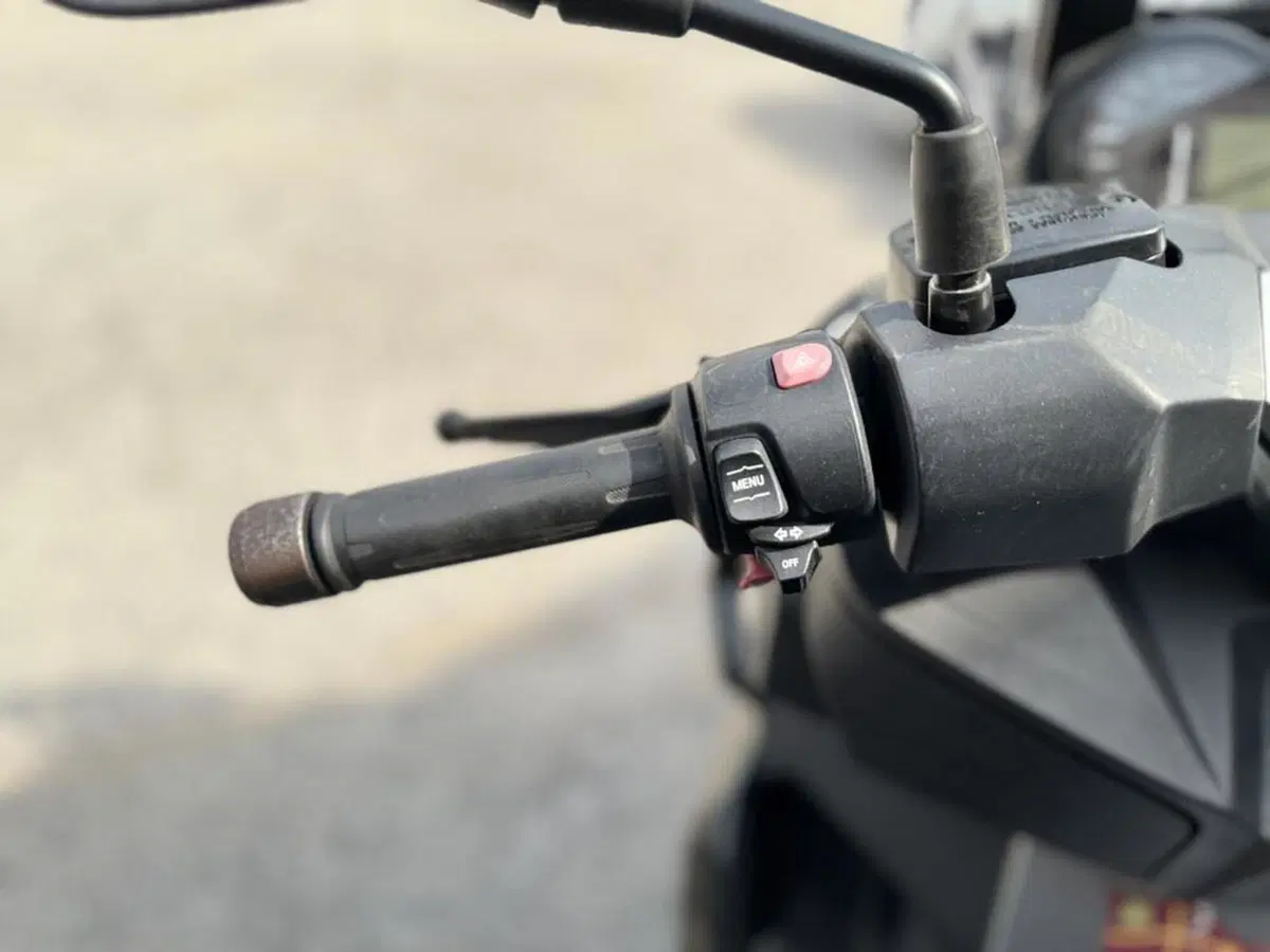 Bmw C 400 X (2018 - 20) (6)