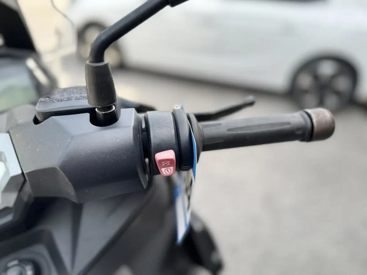 Bmw C 400 X (2018 - 20) (7)