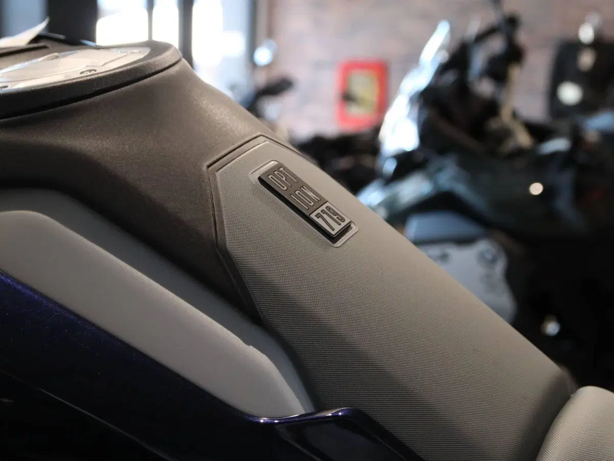 Bmw R 1300 GS Option 719 Tramuntana (2023 - 26) (6)
