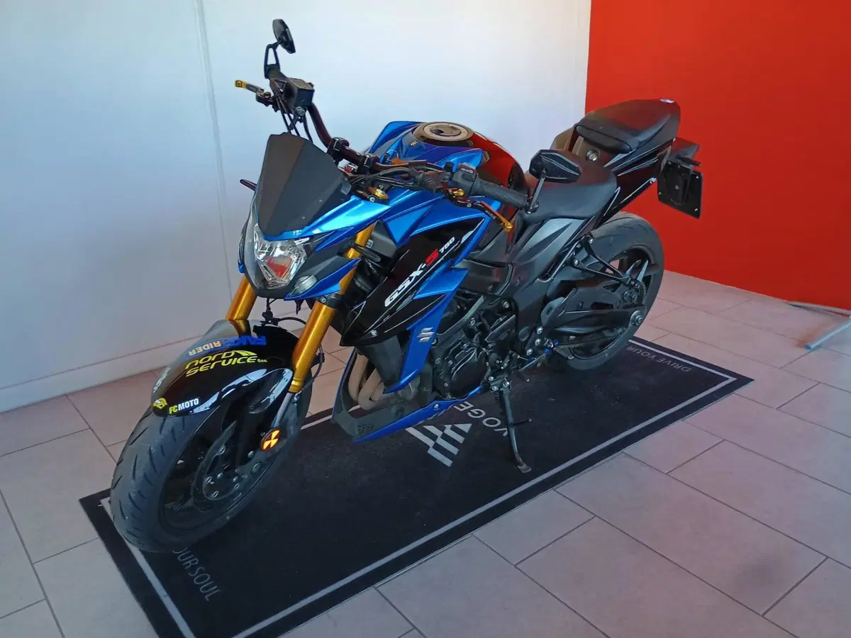 Suzuki GSX S 750 Z ABS (2017 - 20) (2)