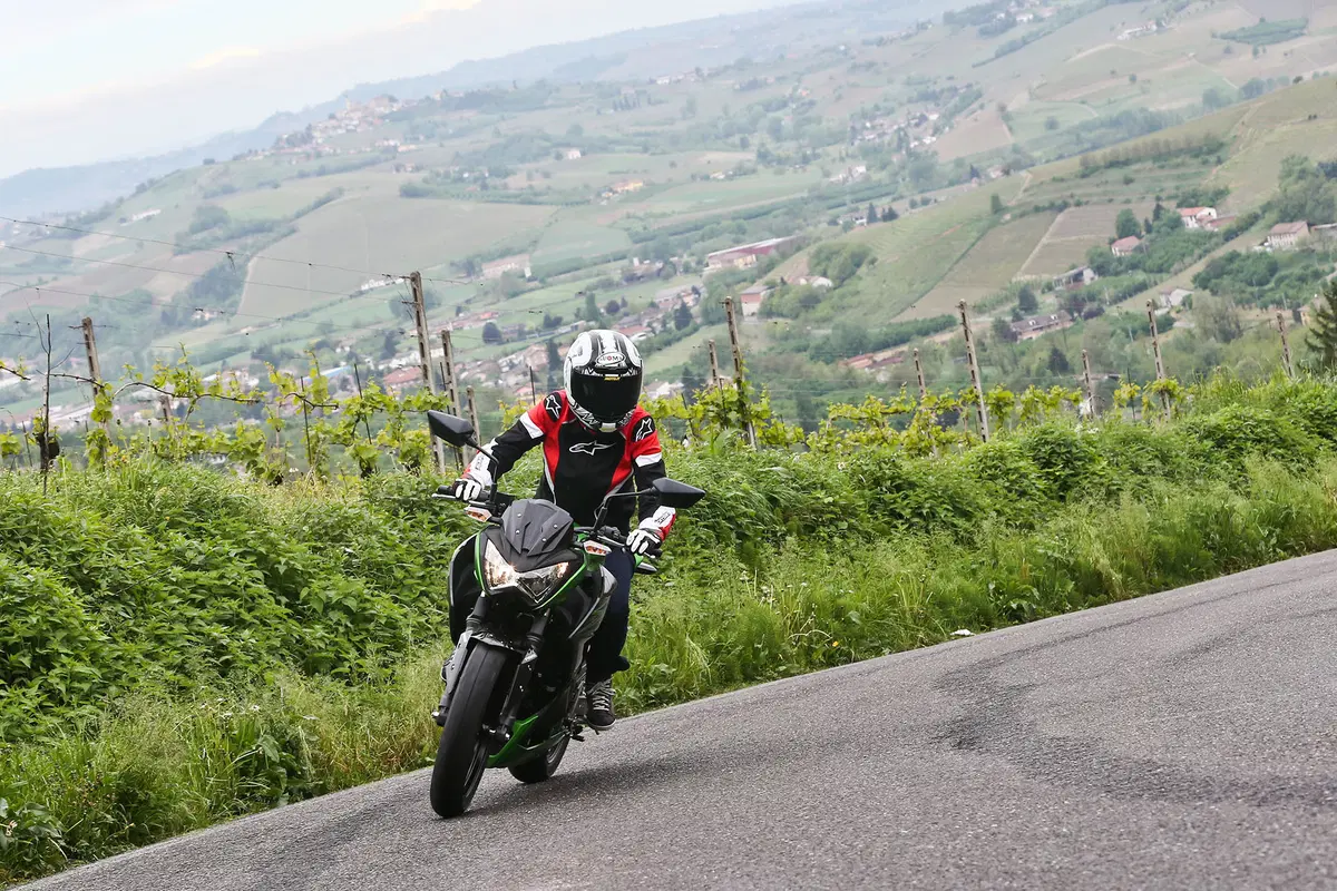 Kawasaki Z300 (5)