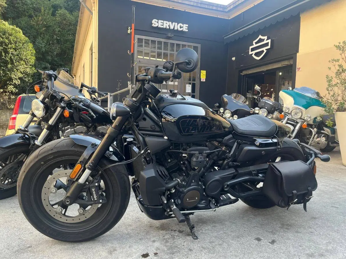 Harley-Davidson Sportster S (2022 - 24) (2)