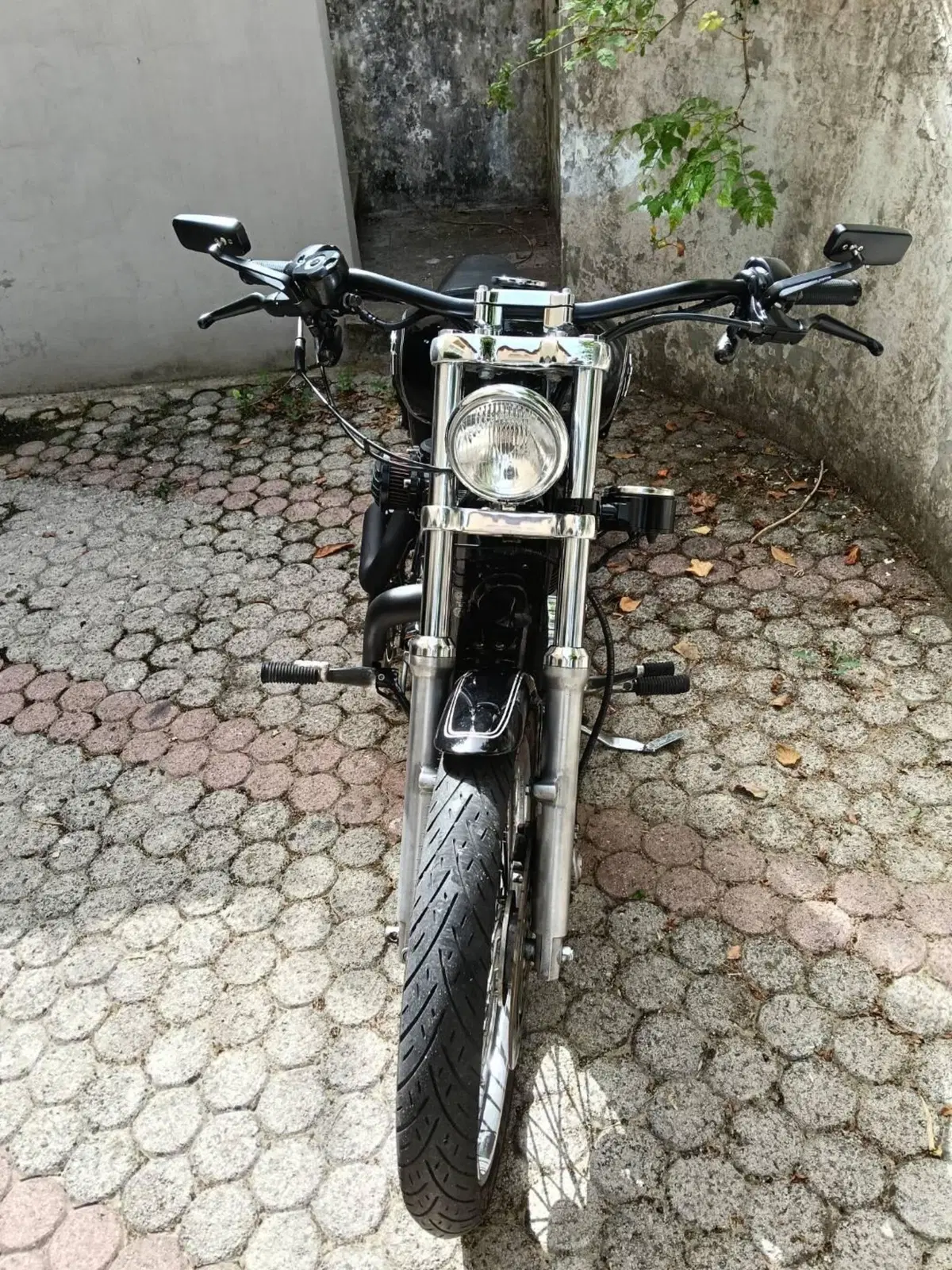 Harley-Davidson 1200 Custom (2004 - 06) - XL 1200C (2)