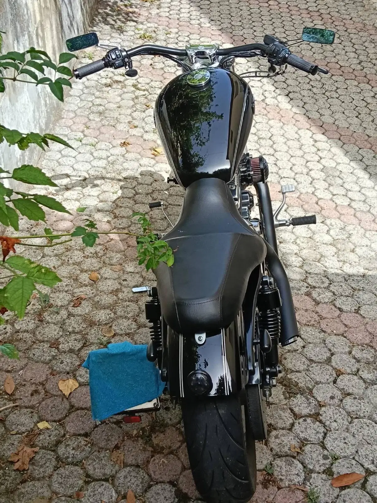 Harley-Davidson 1200 Custom (2004 - 06) - XL 1200C (3)