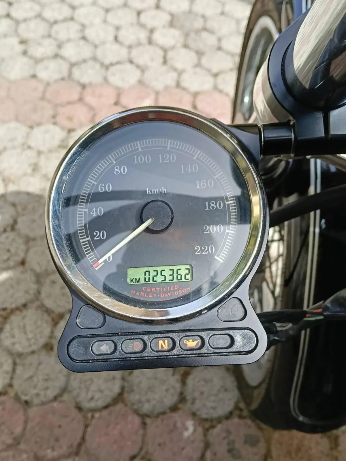 Harley-Davidson 1200 Custom (2004 - 06) - XL 1200C (4)