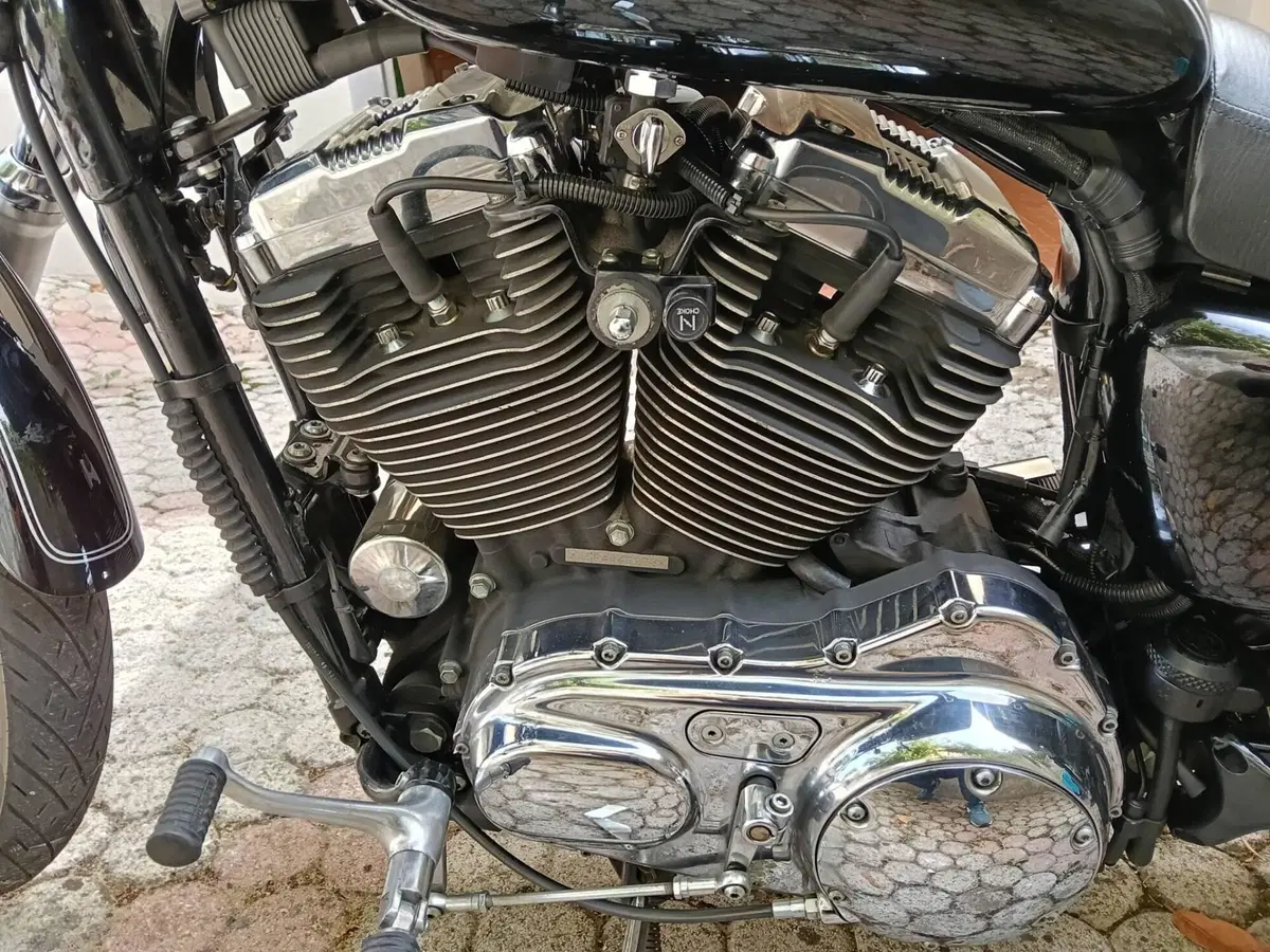 Harley-Davidson 1200 Custom (2004 - 06) - XL 1200C (5)
